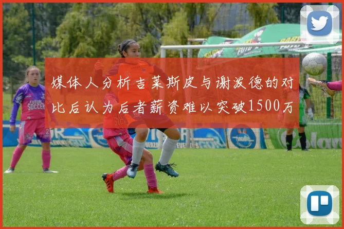媒体人分析吉莱斯皮与谢泼德的对比后认为后者薪资难以突破1500万