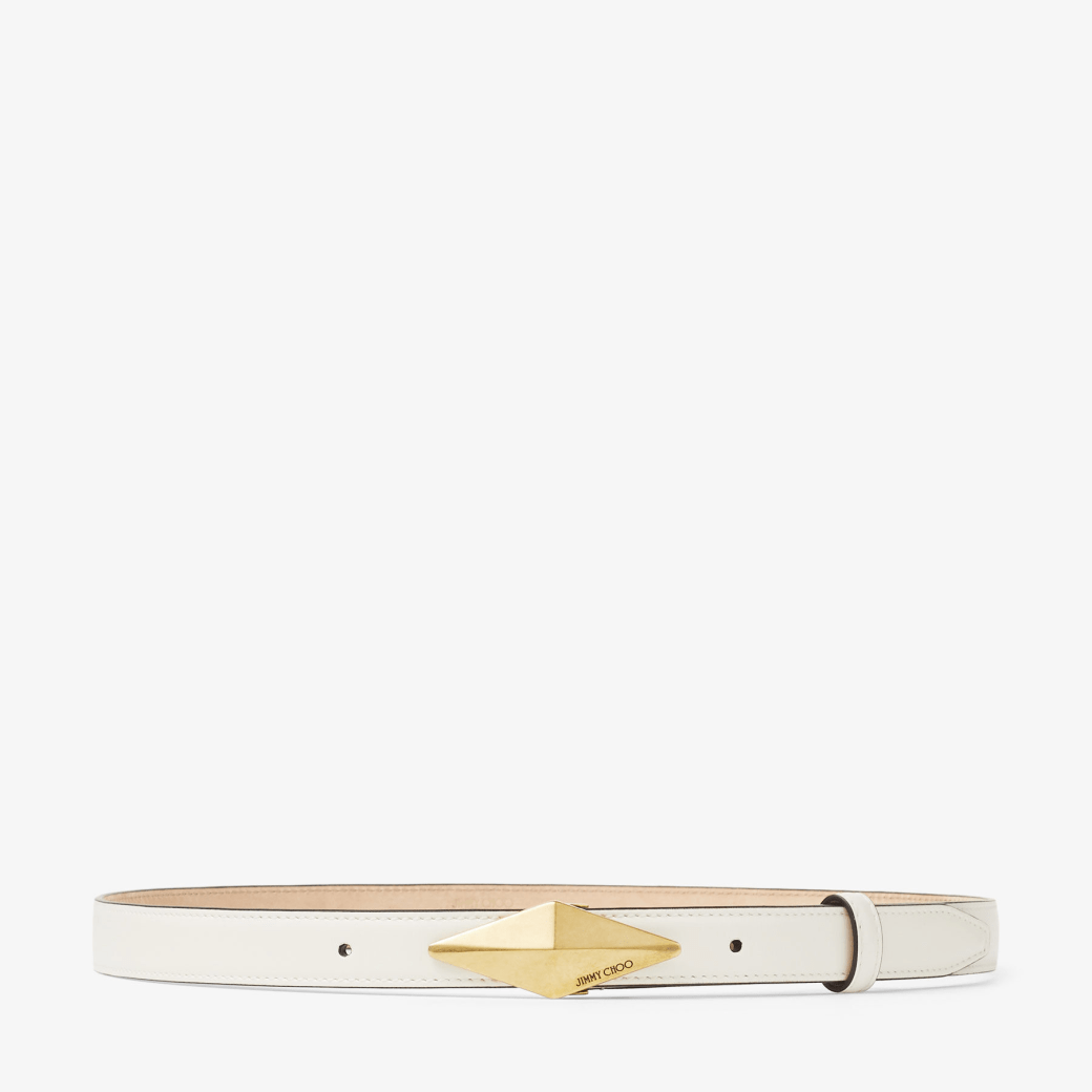 Diamond Clasp Belt