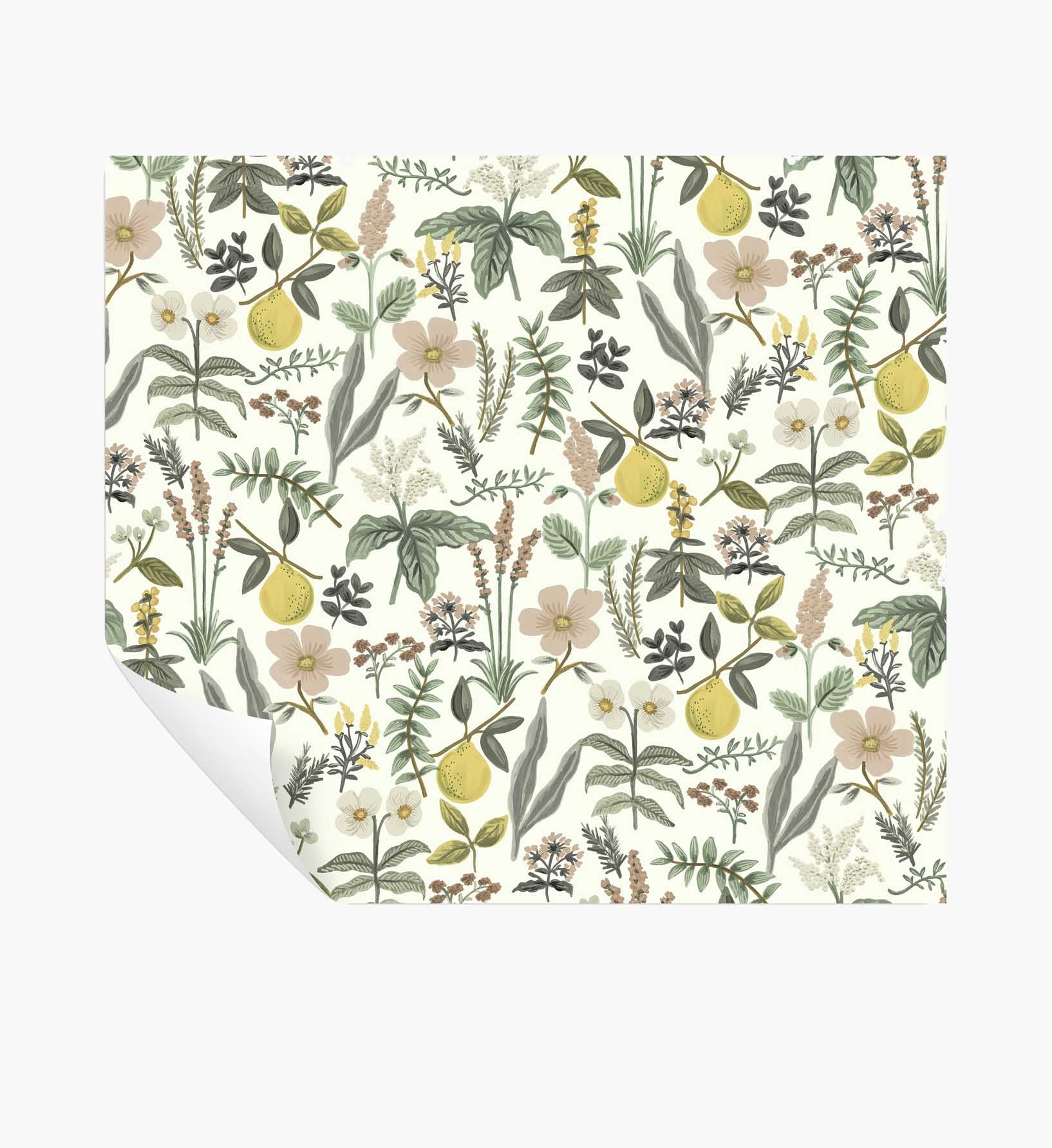 Herb Garden Peel & Stick Wallpaper - Cream