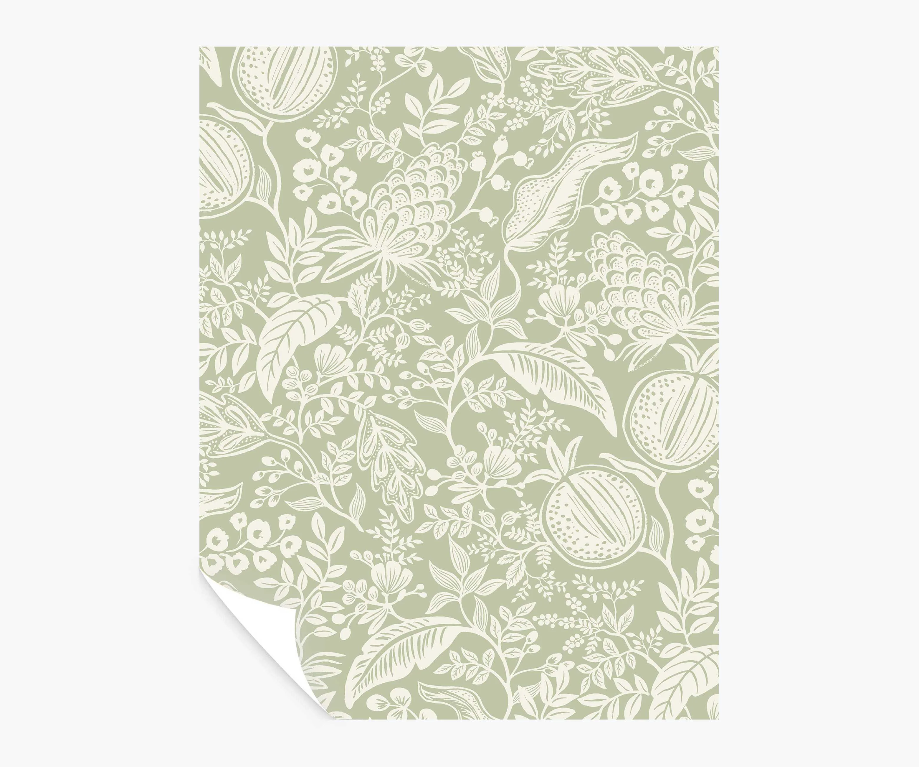 Pomegranate Peel & Stick Wallpaper Sample - Pistachio & White