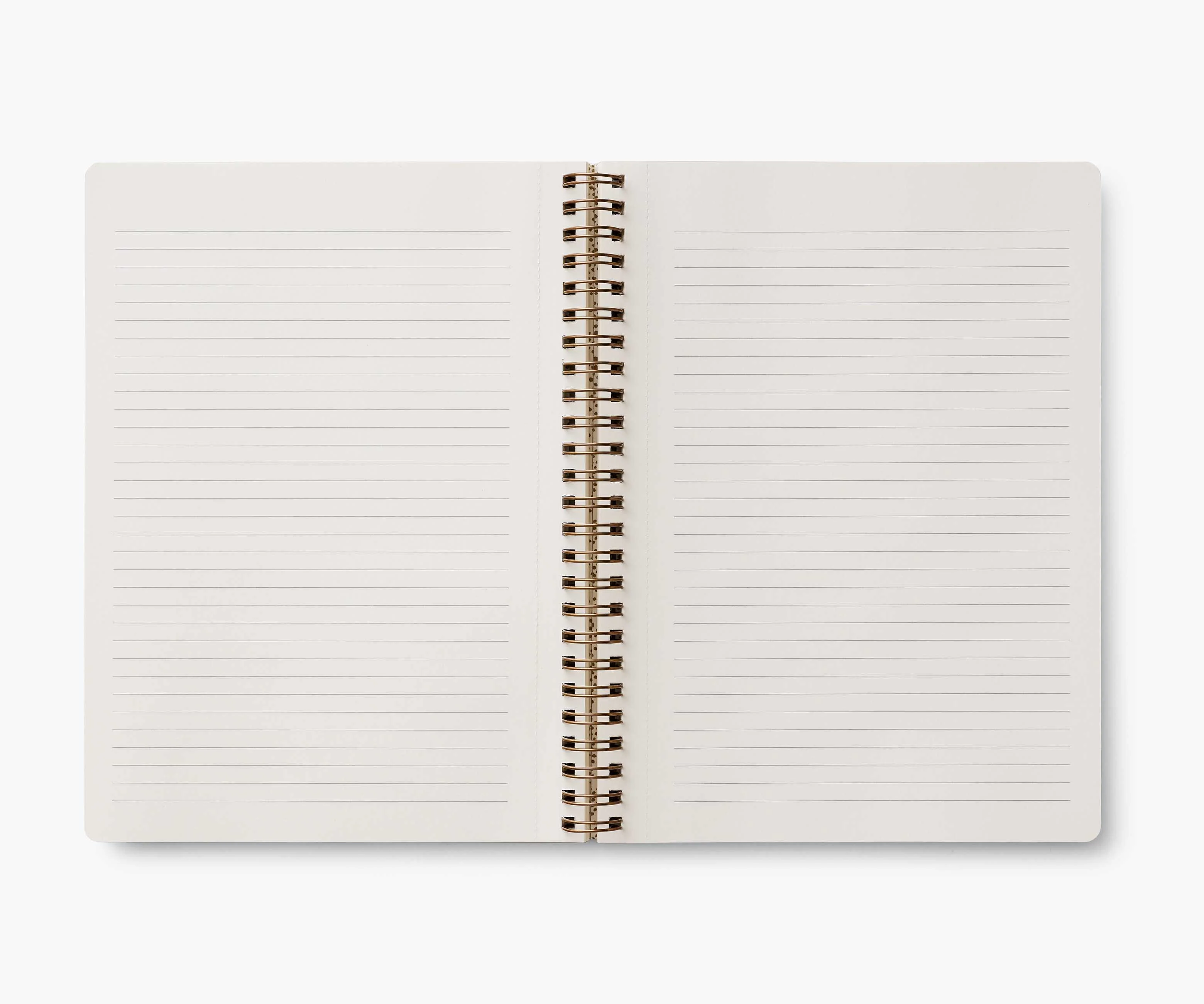 Spiral Notebook - Curio