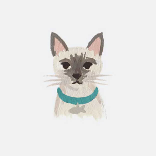 Pets Personalized Stationery - Cat 7