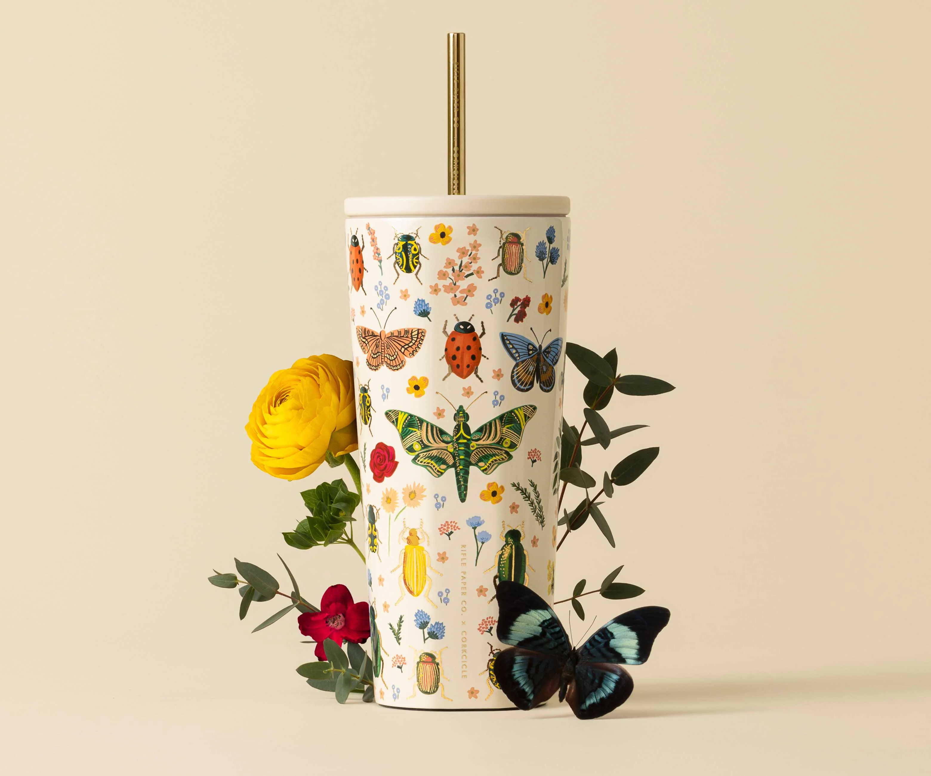 24 oz. Cold Cup - Curio