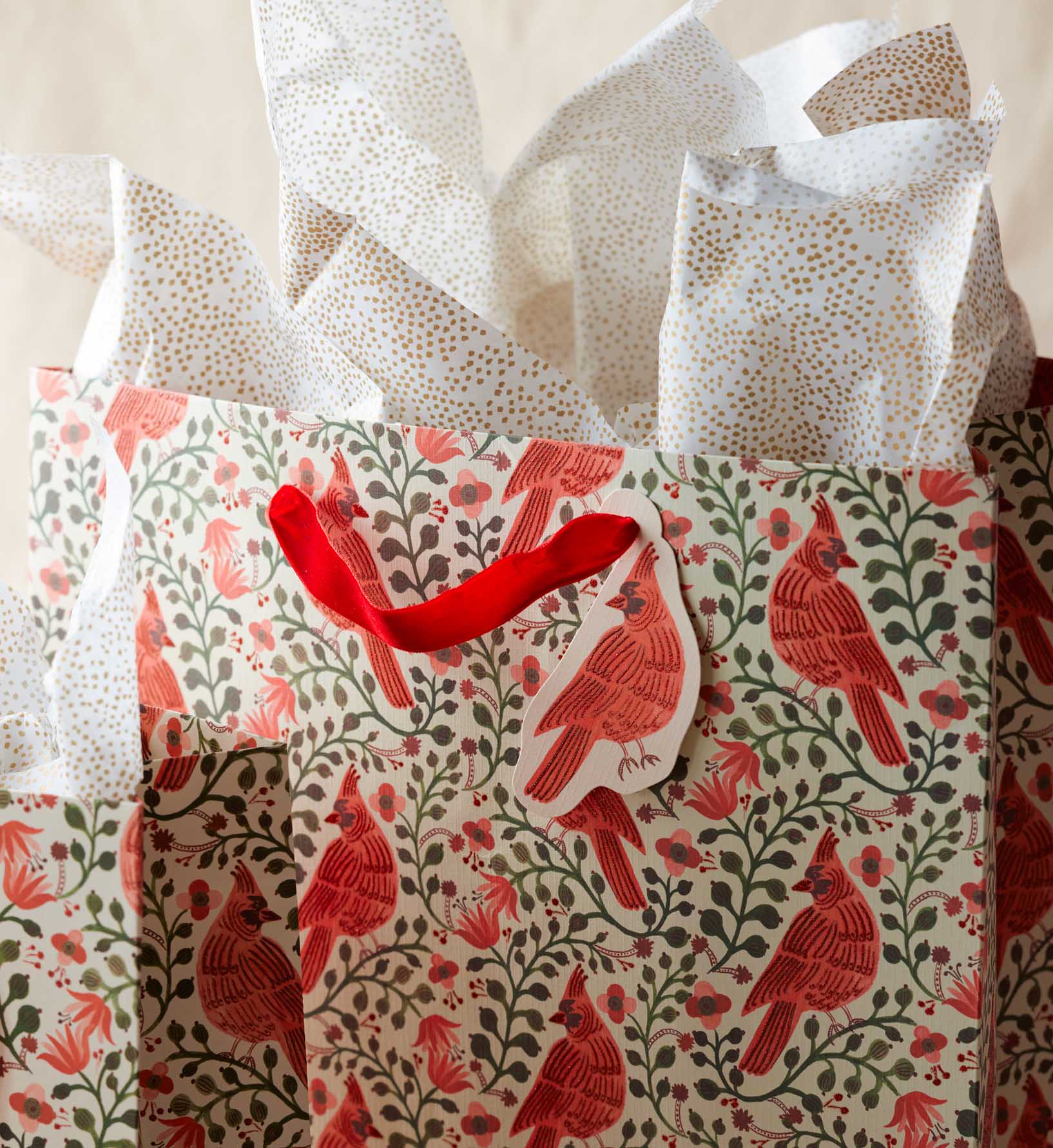 Cardinals Large Gift Bag