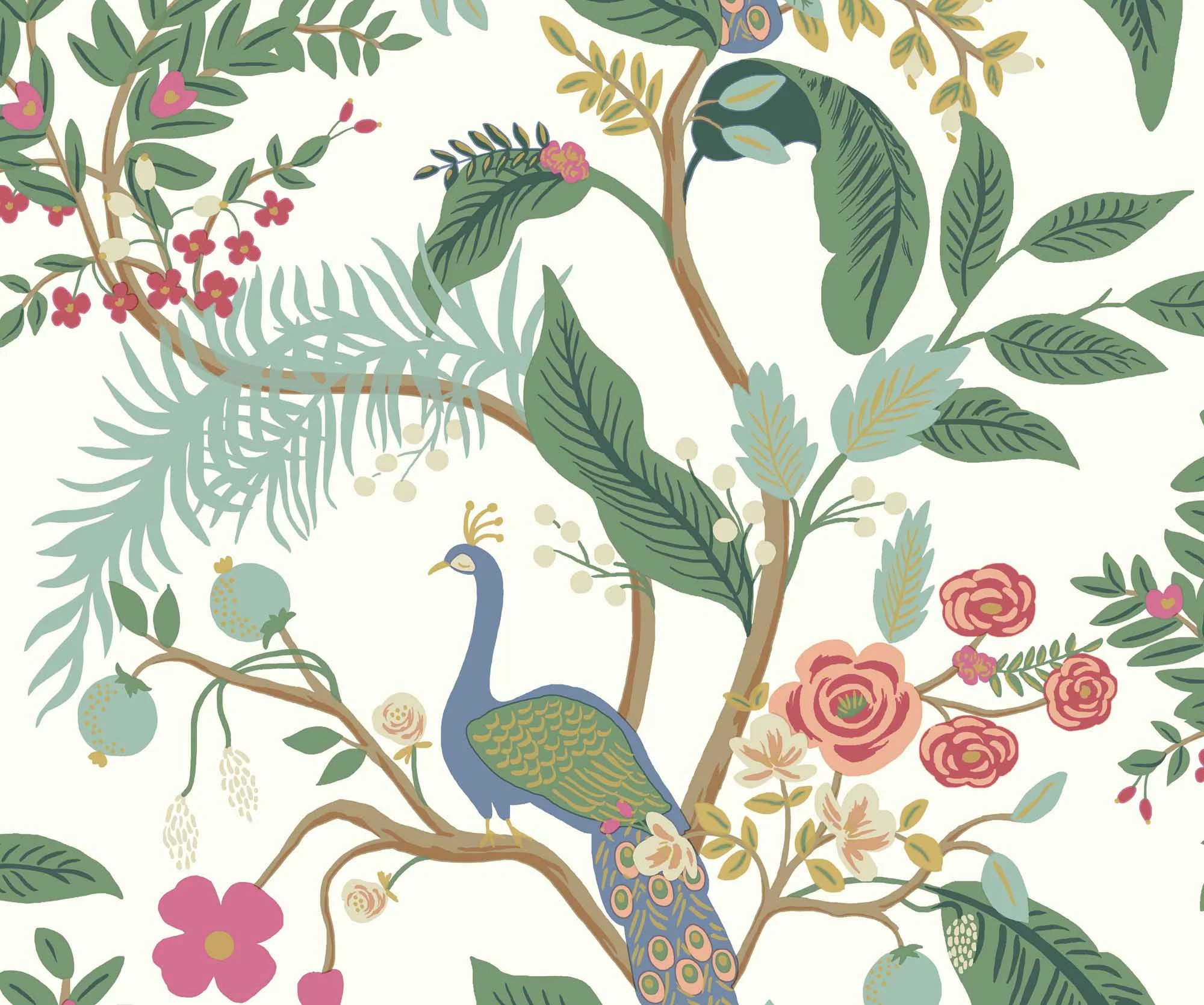 Peacock Wallpaper - Rouge