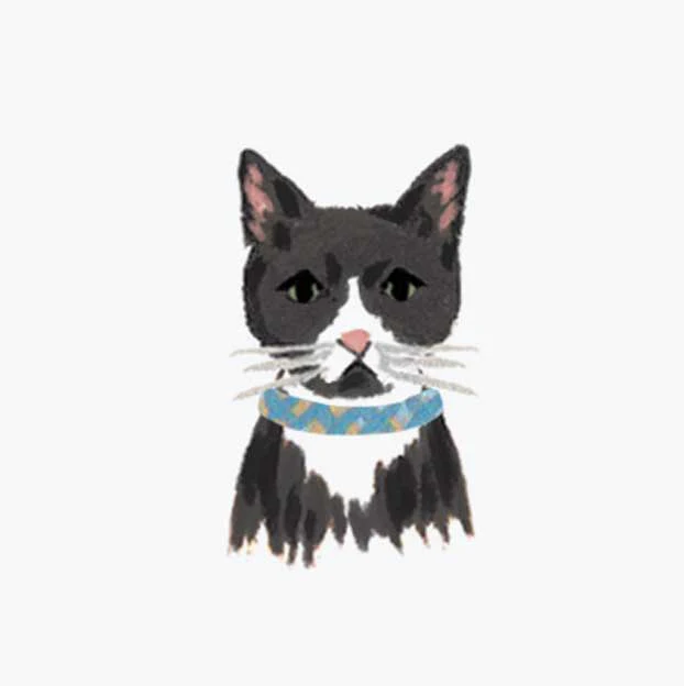 Pets Personalized Stationery - Cat 1