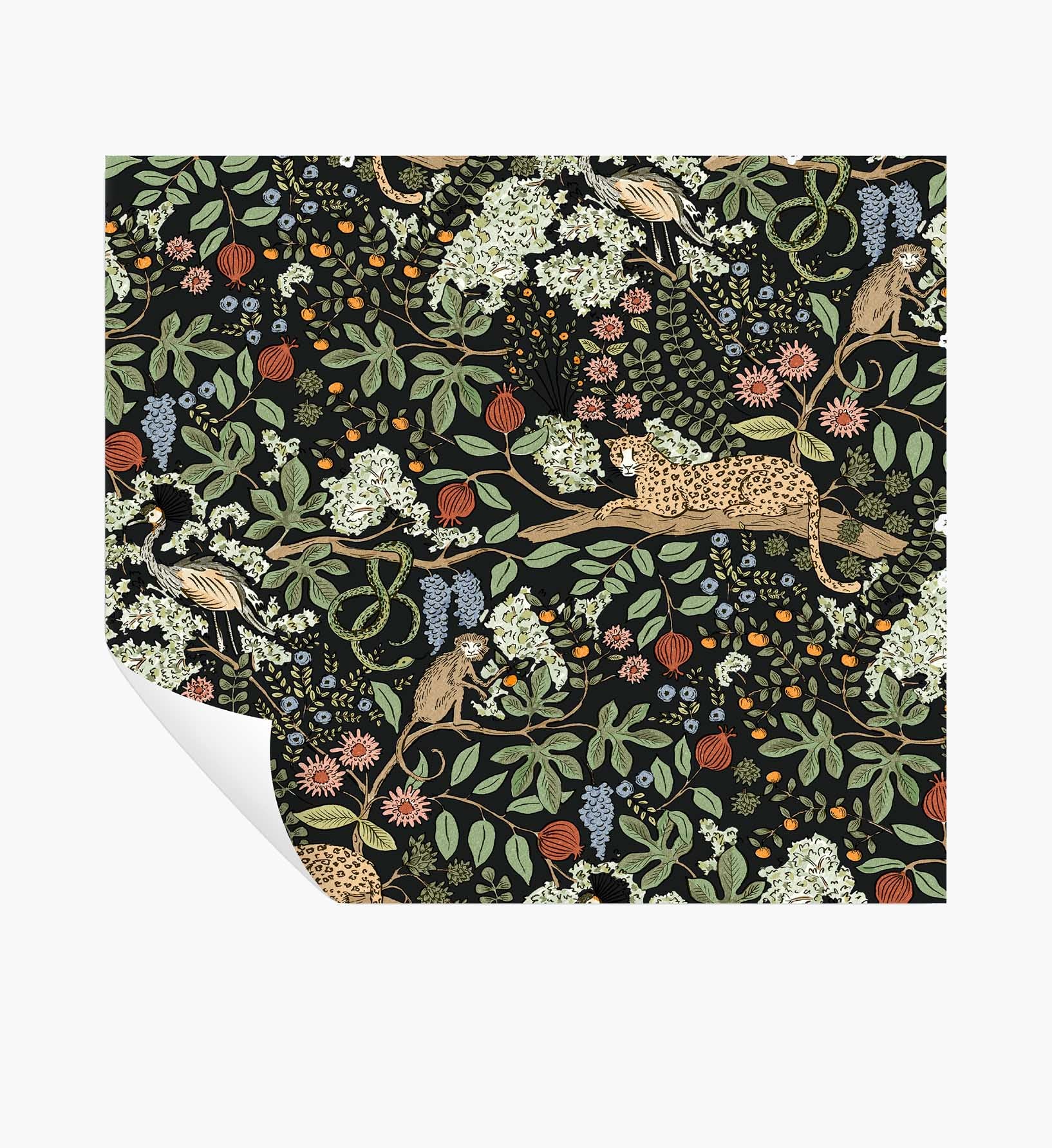 Safari Peel & Stick Wallpaper - Black